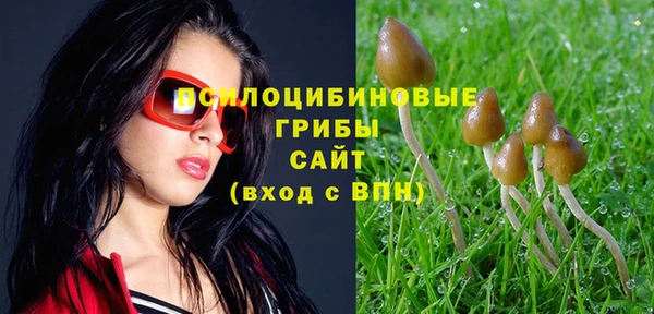 стафф Володарск