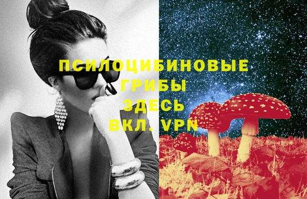 стафф Володарск