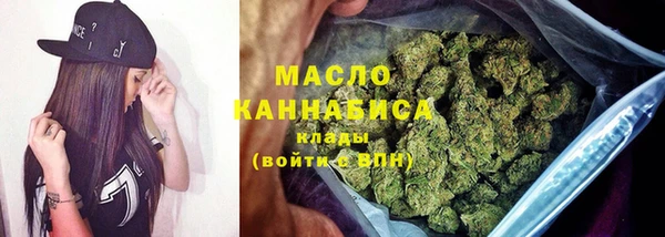 прущая мука Вяземский