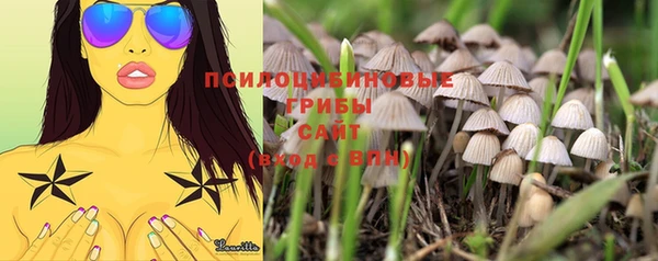 МДПВ Вязьма