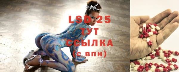 МДПВ Вязьма