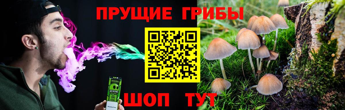 Псилоцибиновые грибы Cubensis Мариинск